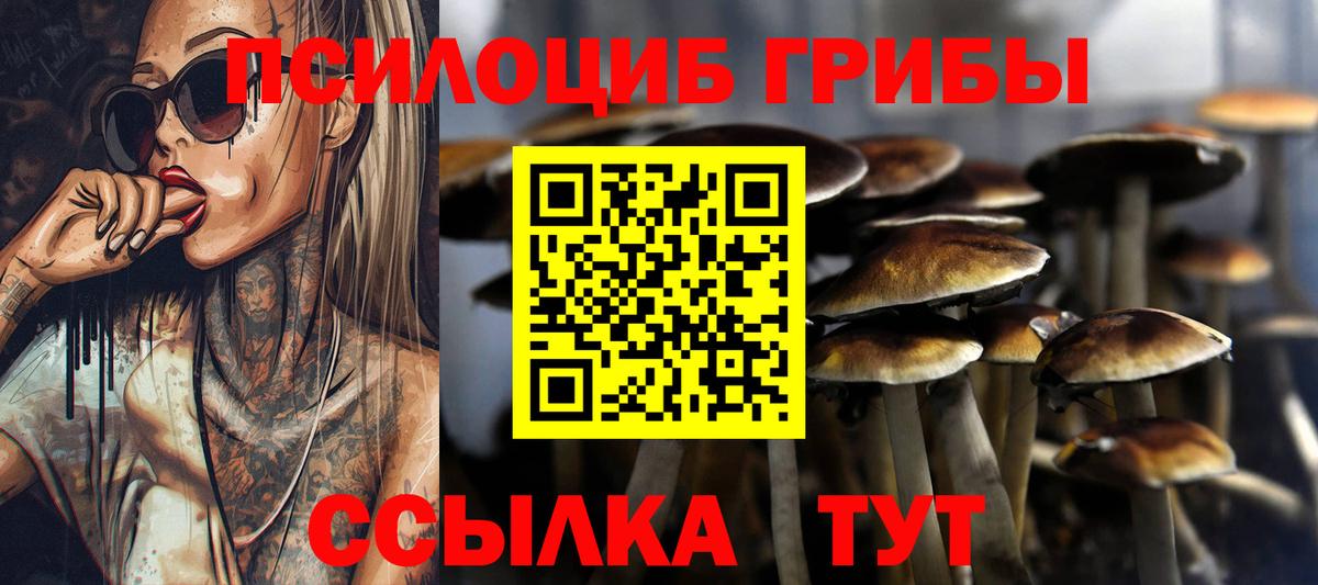 Галлюциногенные грибы мухоморы Благодарный